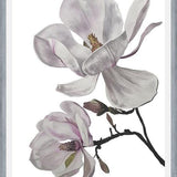 Cuadro Flores magnolia
