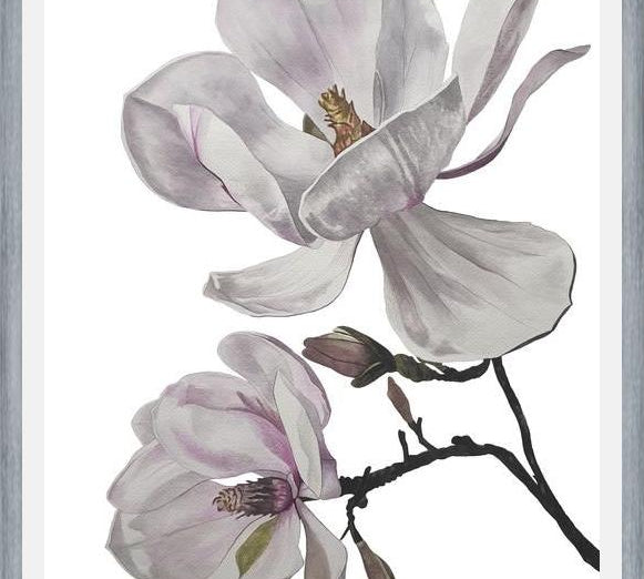 Cuadro Flores magnolia