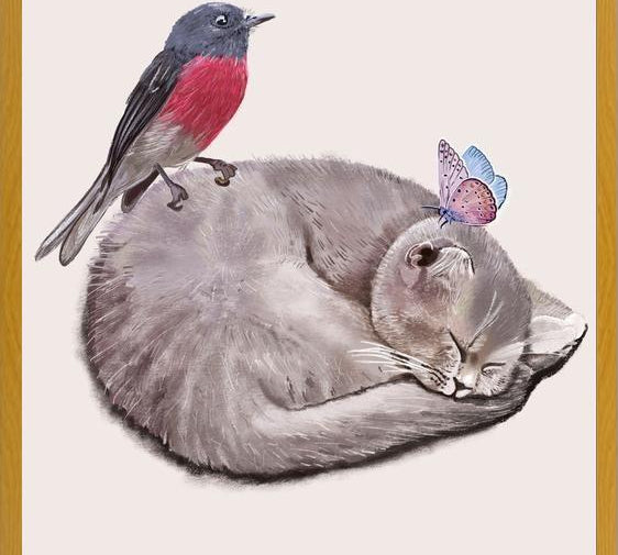 Cuadro Sleeping cats