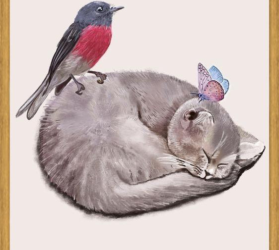 Cuadro Sleeping cats