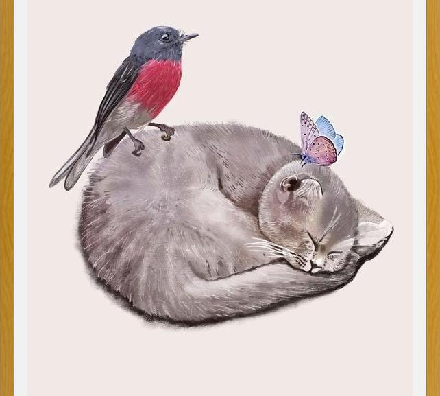 Cuadro Sleeping cats