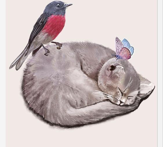 Cuadro Sleeping cats