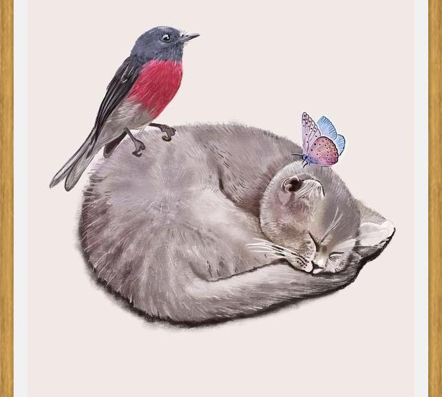 Cuadro Sleeping cats