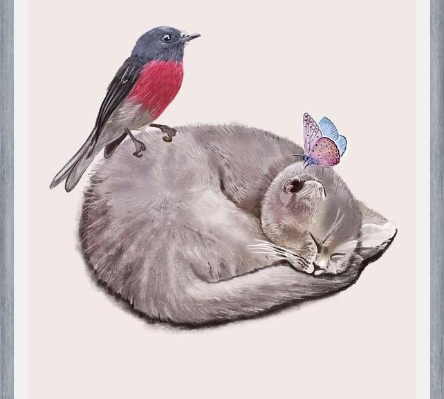 Cuadro Sleeping cats