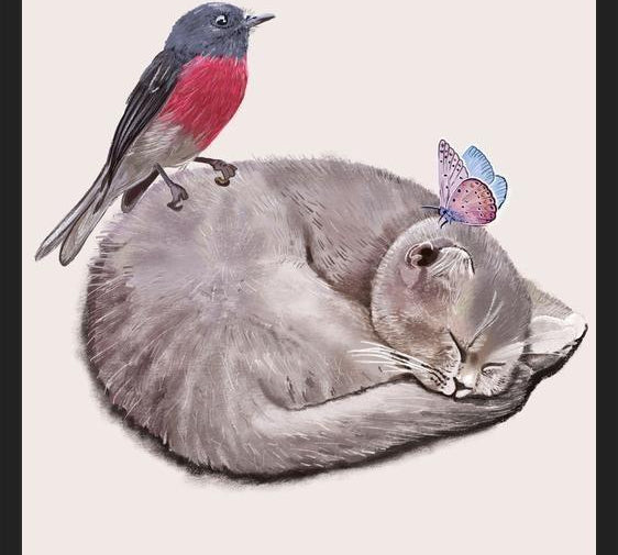 Cuadro Sleeping cats