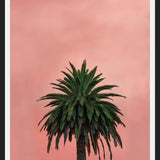 Cuadro Pink Palm