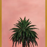 Cuadro Pink Palm