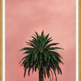 Cuadro Pink Palm