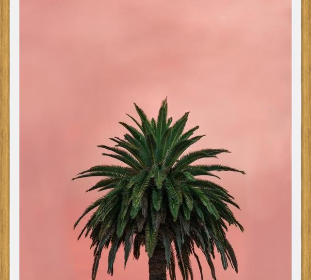 Cuadro Pink Palm
