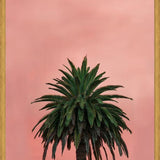 Cuadro Pink Palm