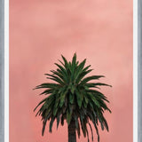 Cuadro Pink Palm