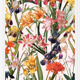 Cuadro Magical Garden XX