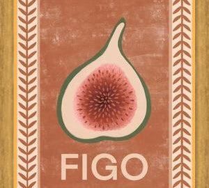 Cuadro HIGO