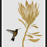 Cuadro Hummingbird and Flower I
