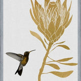 Cuadro Hummingbird and Flower I