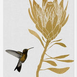 Cuadro Hummingbird and Flower I