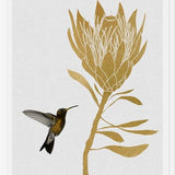 Cuadro Hummingbird and Flower I