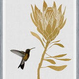 Cuadro Hummingbird and Flower I