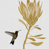 Canvas Hummingbird and Flower I