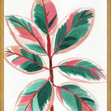 Cuadro Gomero tricolor