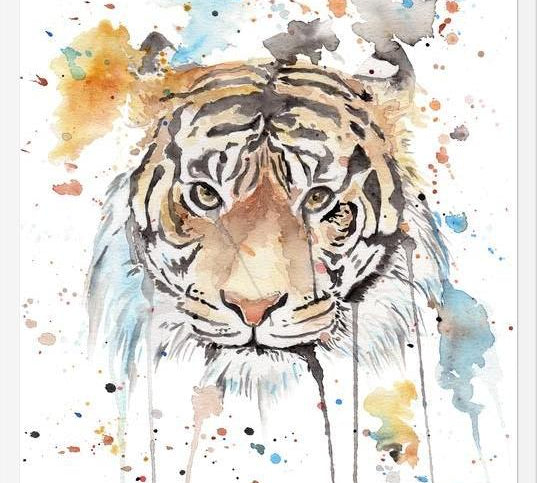 Cuadro Retrato de un Tigre