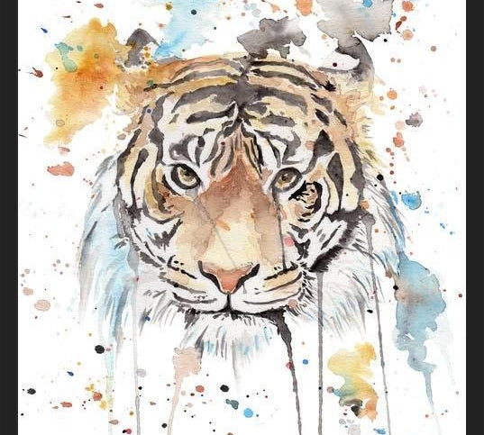 Cuadro Retrato de un Tigre
