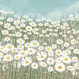 Canvas Girasol