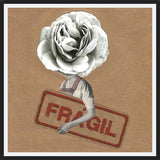 Cuadro Flor Fragil