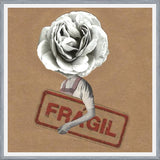Cuadro Flor Fragil