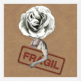 Cuadro Flor Fragil