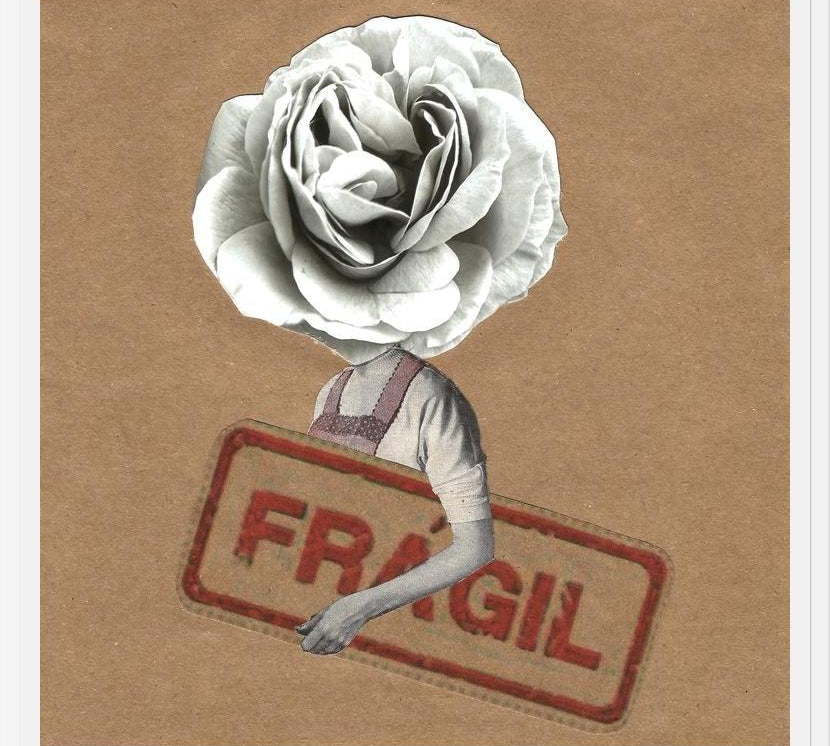Cuadro Flor Fragil
