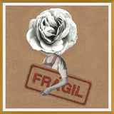 Cuadro Flor Fragil
