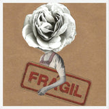 Cuadro Flor Fragil