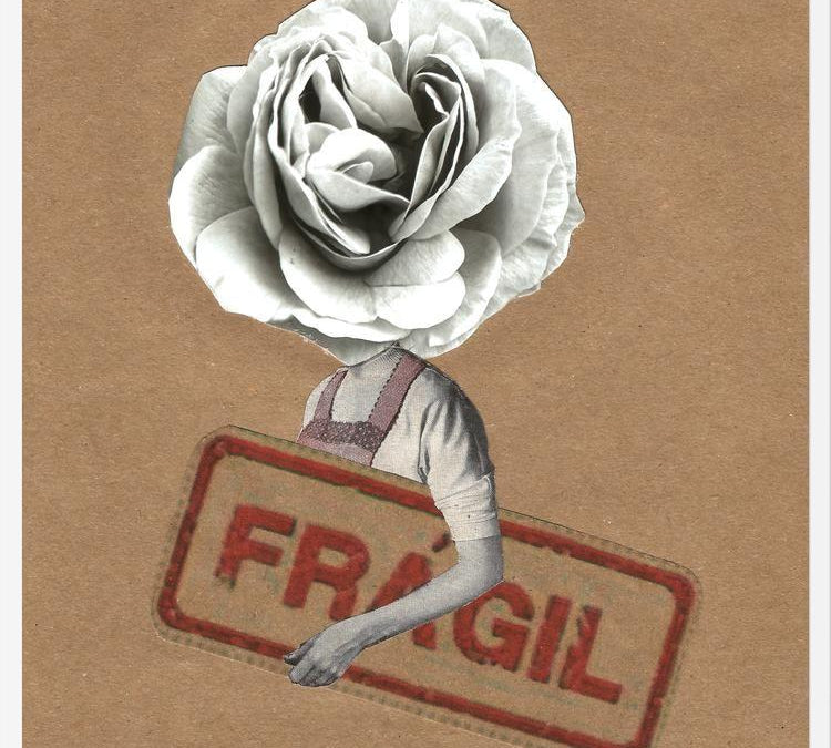 Cuadro Flor Fragil