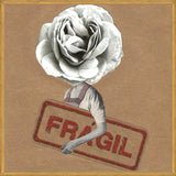 Cuadro Flor Fragil