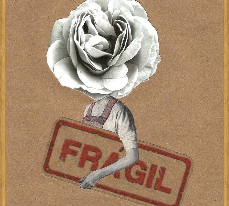 Cuadro Flor Fragil