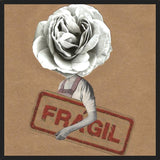 Cuadro Flor Fragil
