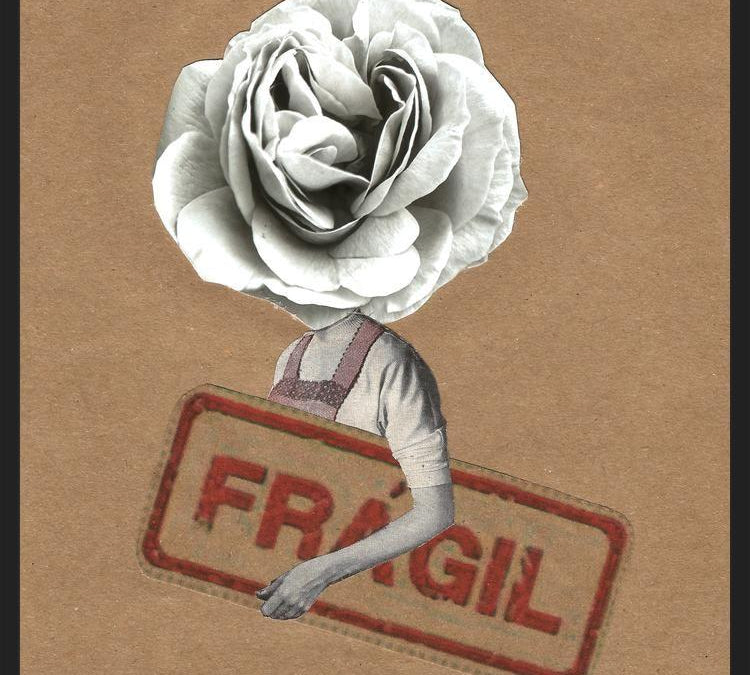 Cuadro Flor Fragil
