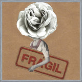 Cuadro Flor Fragil