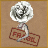 Cuadro Flor Fragil