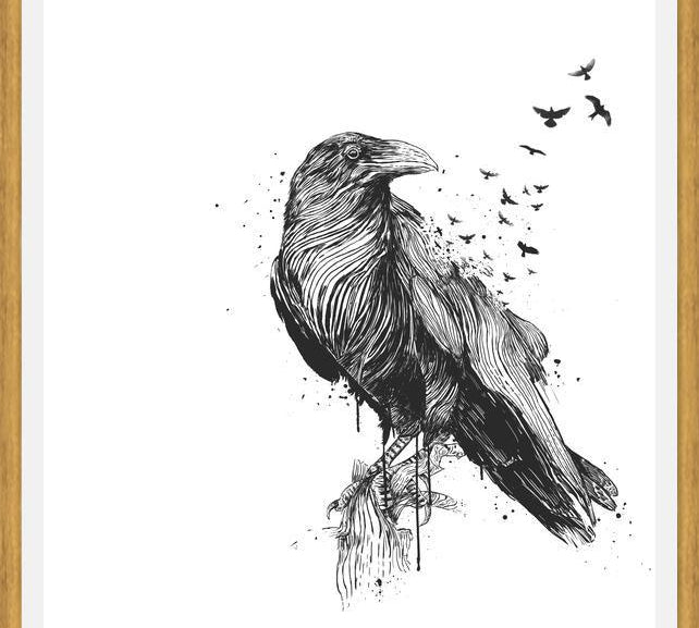 Cuadro Born to be free (bw)