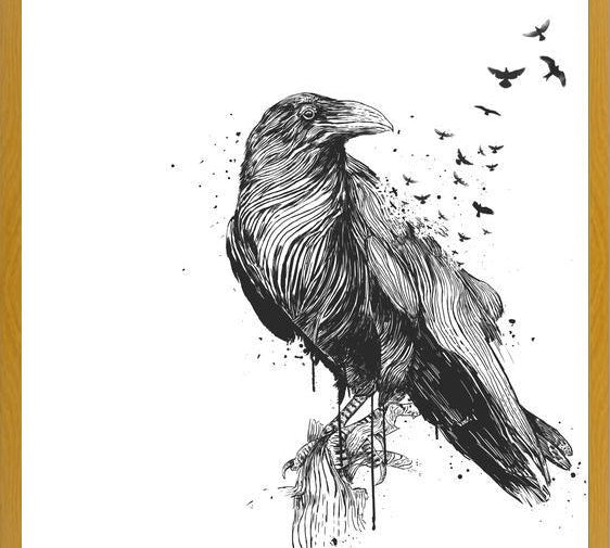 Cuadro Born to be free (bw)