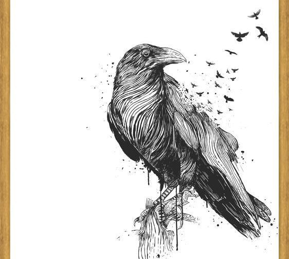 Cuadro Born to be free (bw)