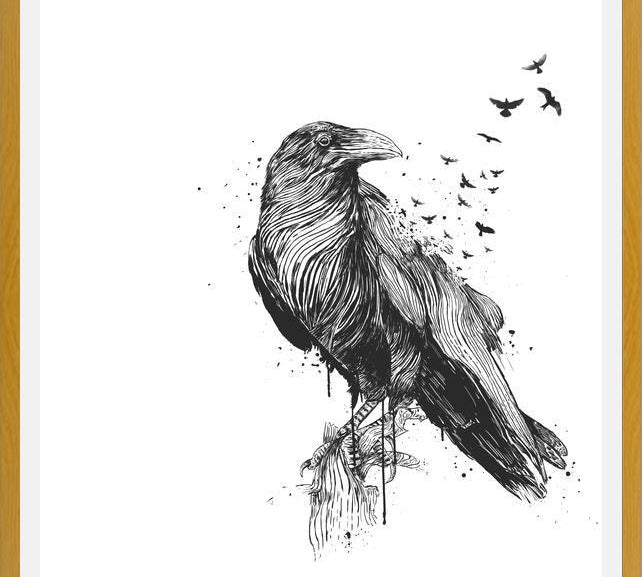 Cuadro Born to be free (bw)