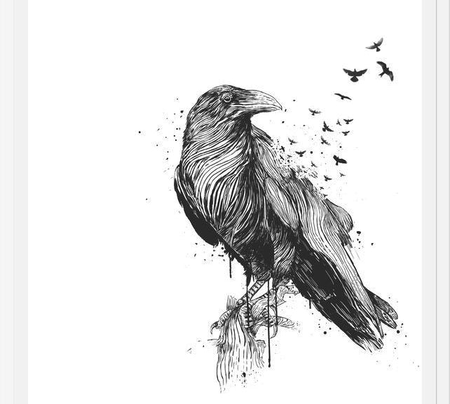 Cuadro Born to be free (bw)