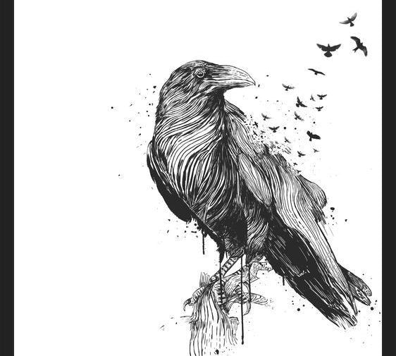Cuadro Born to be free (bw)