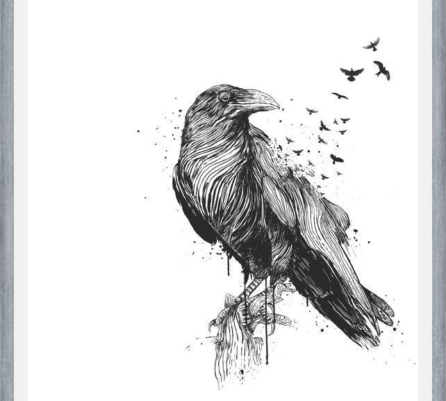 Cuadro Born to be free (bw)
