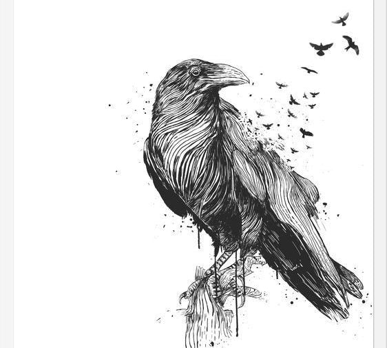 Cuadro Born to be free (bw)