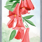 Cuadro Copihues
