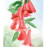 Canvas Copihues